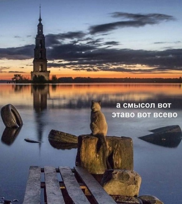 К котовторнику: подборка картинок-баянов с котиками и про котиков. Выпуск 18.