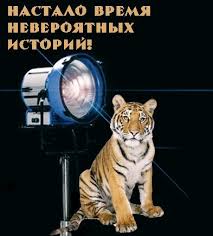 В Хорватии гадюка умерла после того, как укусила пьяного мужчину