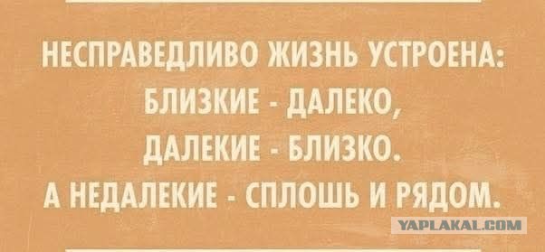 Веселые картинки в понедельник (08.01)