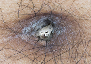 Всякой Хни вам в ленту, дорогие деграданты