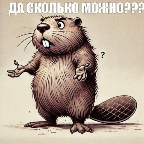 За бобров обидно⁠⁠