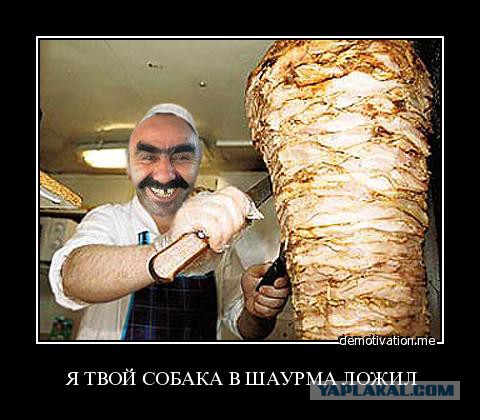 Собакочетверг никто не отменял.