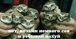 Тем,кто против куннилингуса!