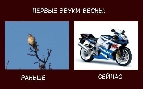 Смешные комментарии из социальных сетей.