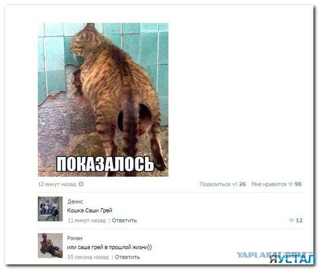 Смешные комментарии из социальных сетей (40 фото)