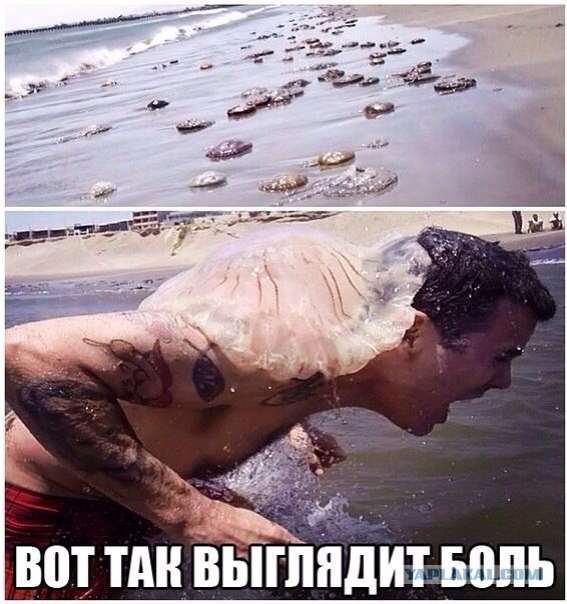 Свежие картинки из сети