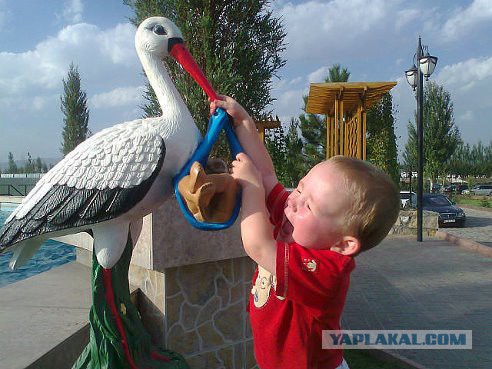 Правильные игрушки для детей