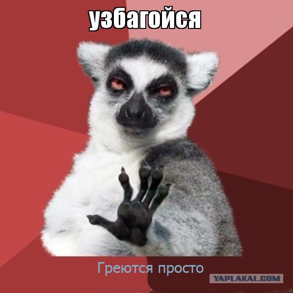 Они что то задумали