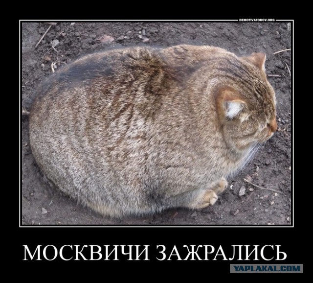 "Нефть в обмен на ничего"