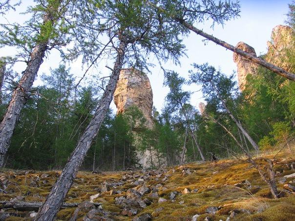 Река Лена. На самодельном плоту