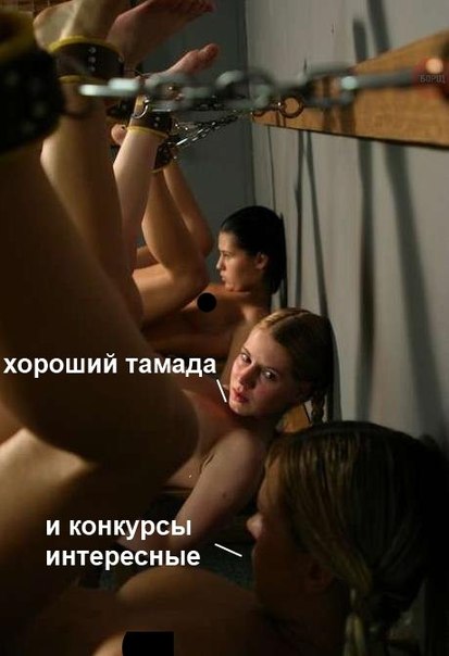 Забавные картинки из Сети