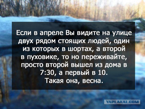 Картинки разные