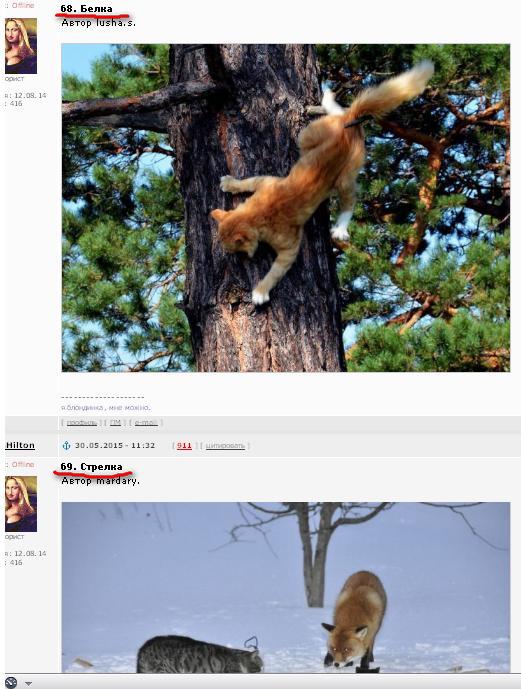 Забавные фотографии с конкурса