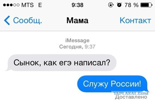 Весёлости в картинках