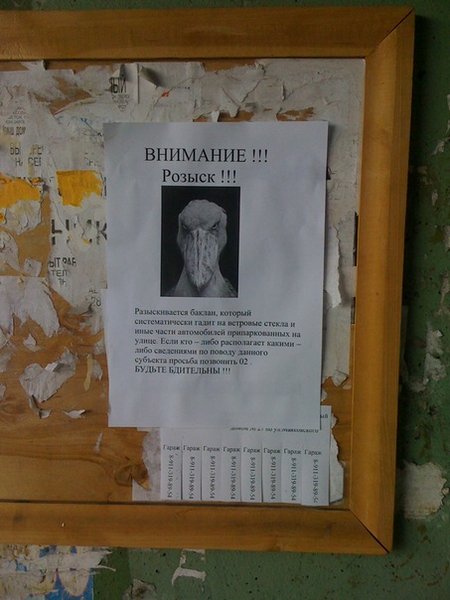 Прикольные объявления и надписи