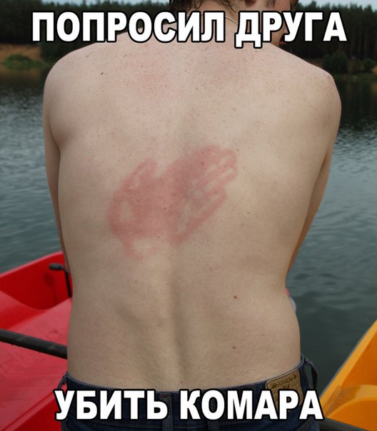 Картинки из интернета