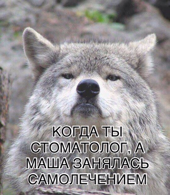 Придет серенький волчок