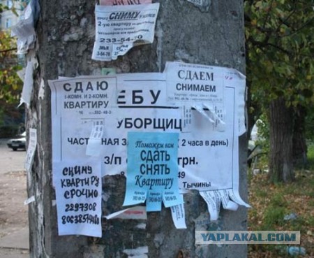 Немного картинок на вторник