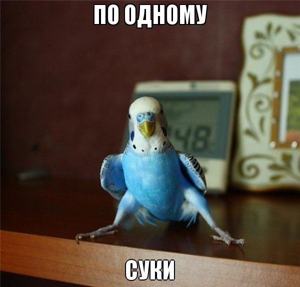 картинки на выходные
