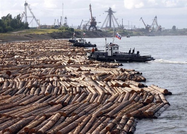 Как выгружают лесоматериалы с баржи в Канаде