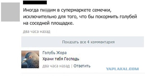 Смешные комментарии из соцсетей