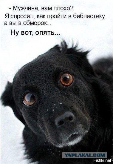 Картинки на пятницу