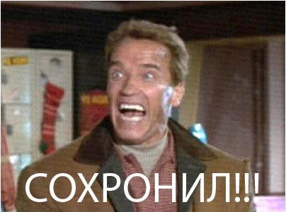 Почки свиные (тушеные)