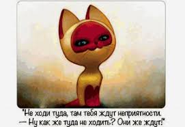 Интересные факты о сиамских кошках