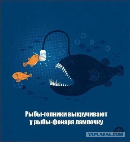 Картинки из сети