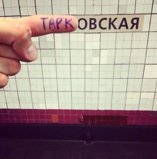 Подборка интересных и веселых фото