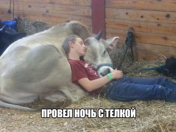 Ужасы и приколы из соцсетей 18+