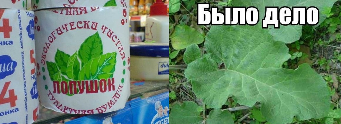 Р›РѕРїСѓС… Р»РѕС…