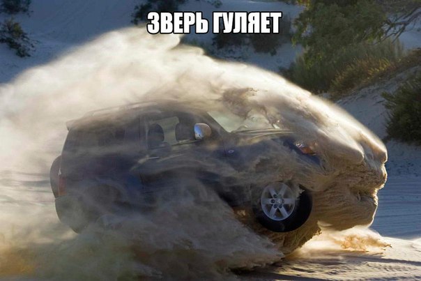 Подборка интересных и смешных картинок