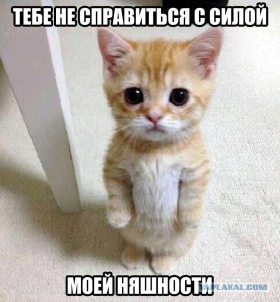 НестандART v. 10.0