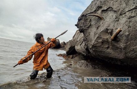 Аральское горе