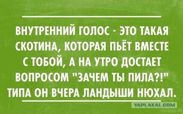 Смешные комментарии 24.07.2016