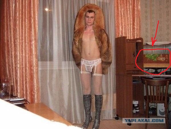 Улов из соцсетей 15 фото