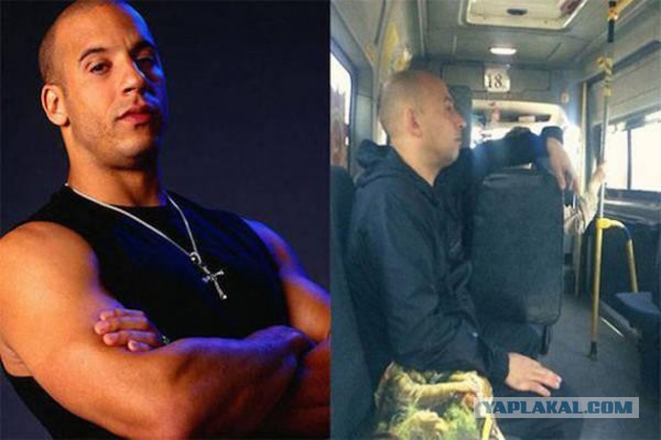 Один в один! 17 людей, животных и вещей, которые невероятно похожи друг на друга.
