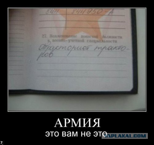 Немного картинок и демотиваторов