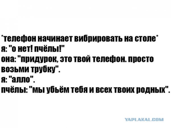 Немного картинок в обед