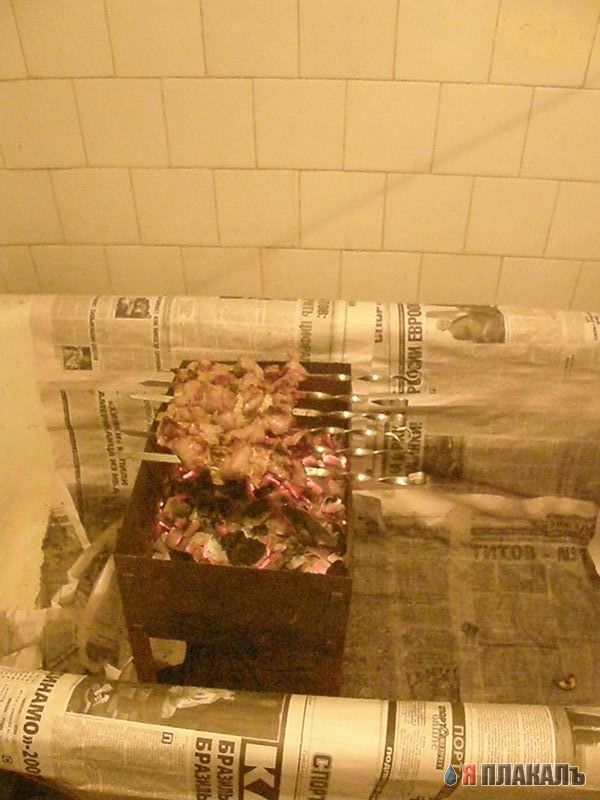 Шашлык в ванной (12 фото)