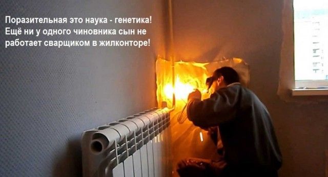 Несовершеннолетний сын покойного сенатора Тюльпанова показал, как передвигается по Петербургу со спецсигналами