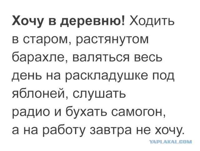 Глушь. Молодая семья купила дом за $5,5 тысячи и строит собственное поселение
