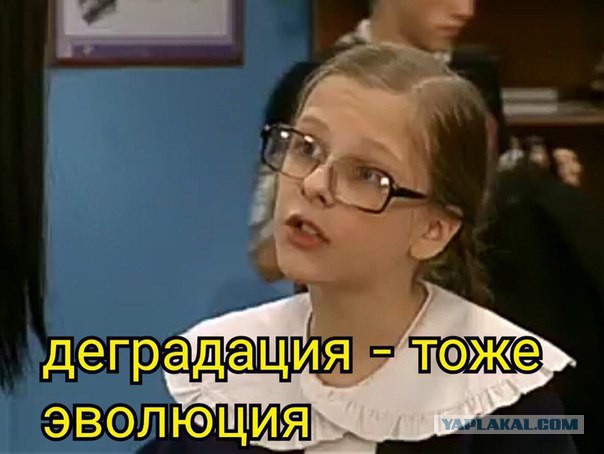 Мужчины США деградируют