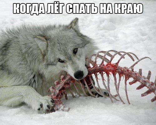 Нестандартный юмор
