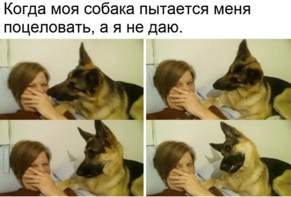Прикольные картинки обо всем