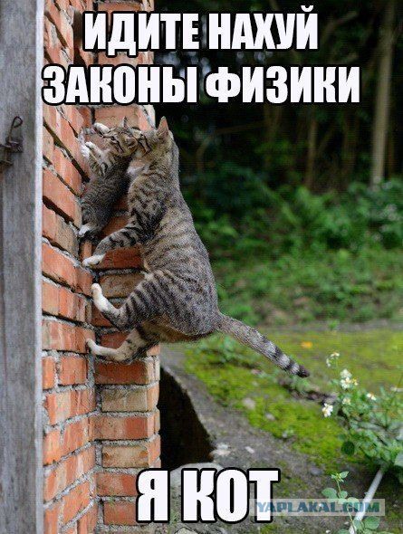 Не очень адекватный юмор