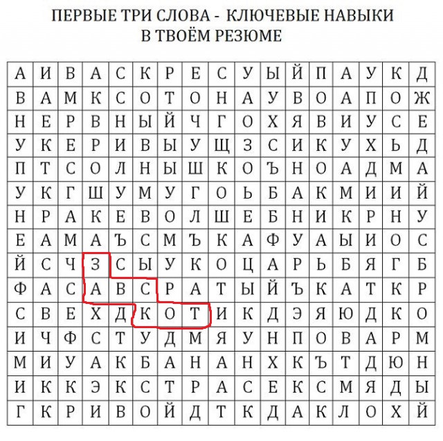 Твое резюме
