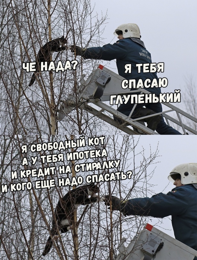 Нестандартный юмор