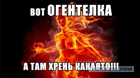 Дайверы в Новой Зеландии запечатлели на видео странное существо